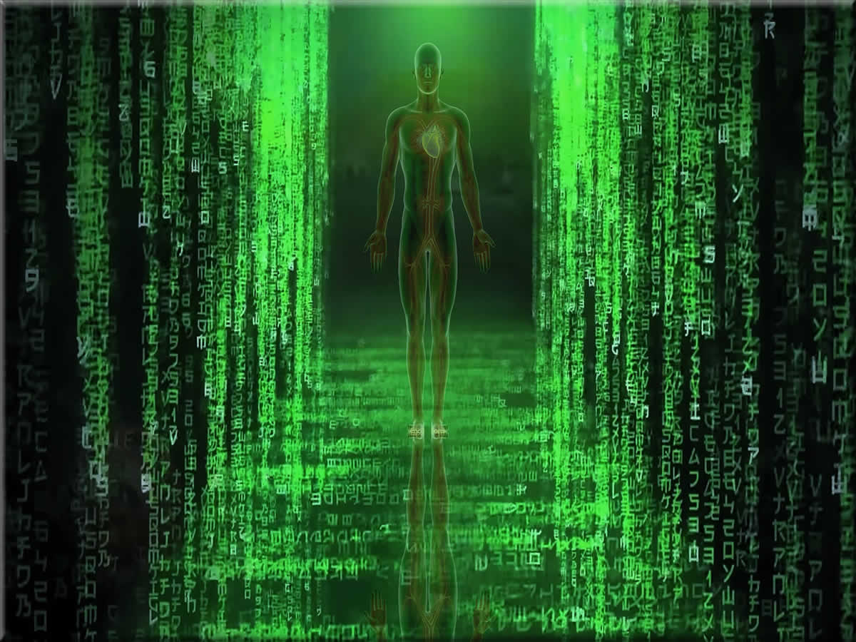 The anomaly in the matrix green code