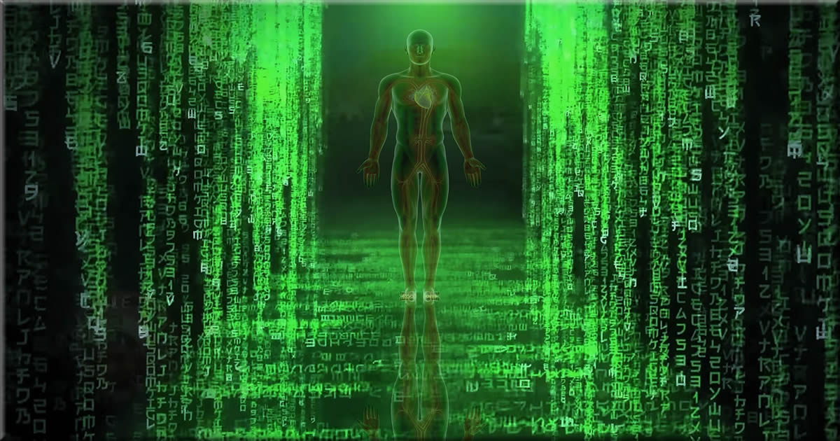 silhouette of aqmx the anomaly in the green matrix code