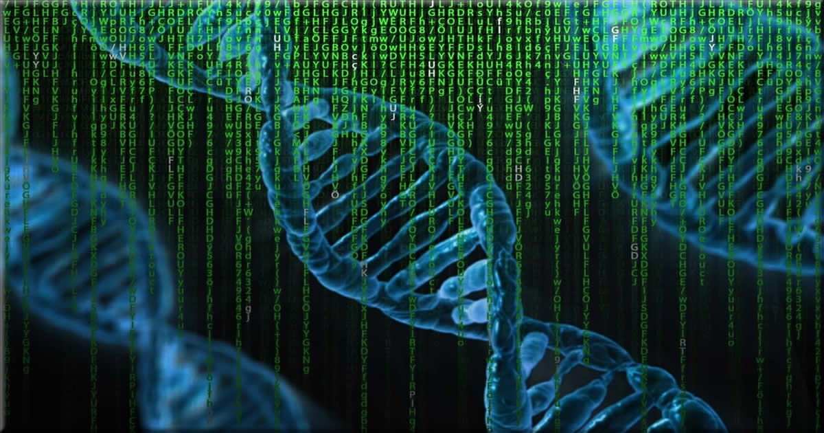 Human biological dna code