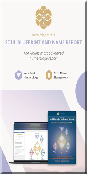 numerology pro report